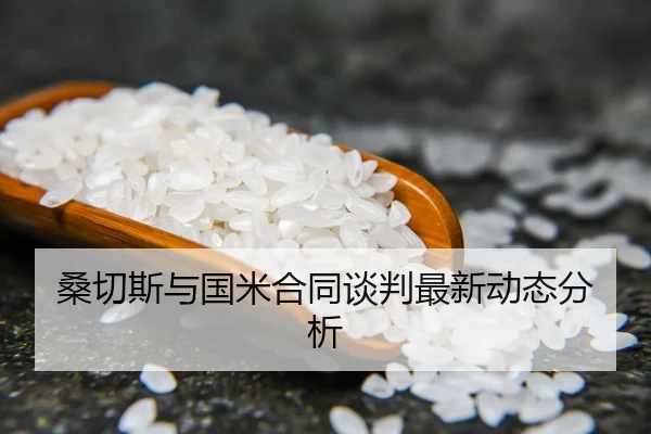 桑切斯与国米合同谈判最新动态分析